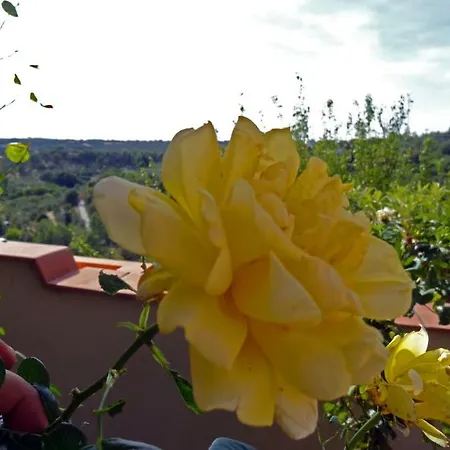 La Casa Delle Rose Holiday home *